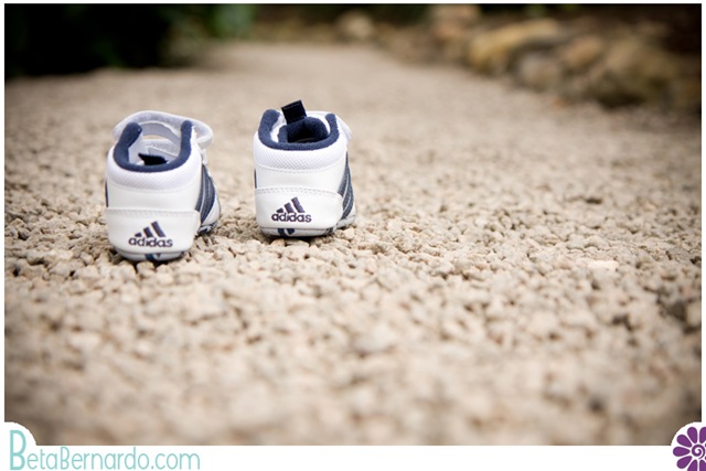 [IMG_9377-2 copy[3].jpg]